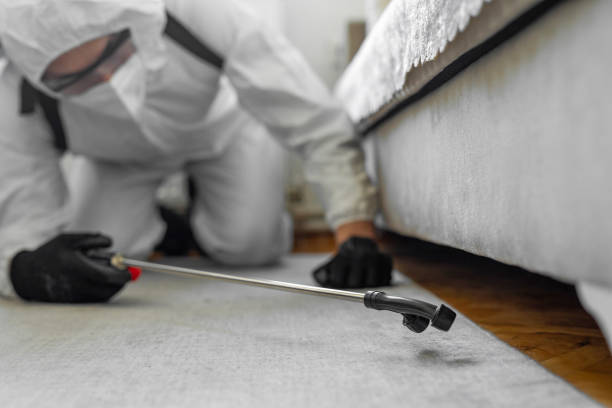 Professional Termite Control technician working in Monroe, IA