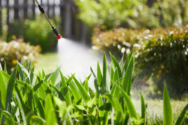 24/7 Emergency Termite Control experts in Monroe, IA
