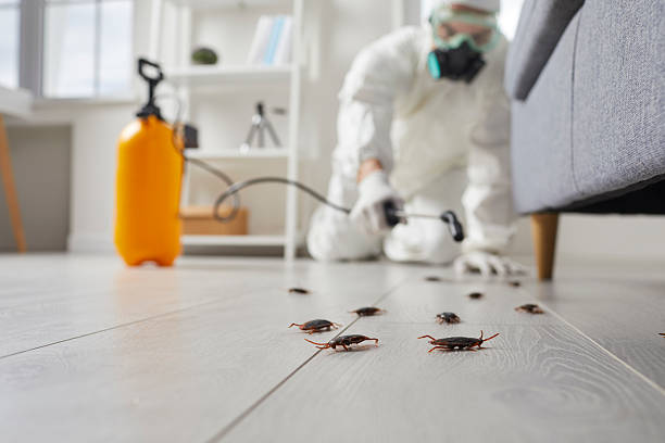Trusted Termite Control service in Monroe, IA - Nex Pest Control